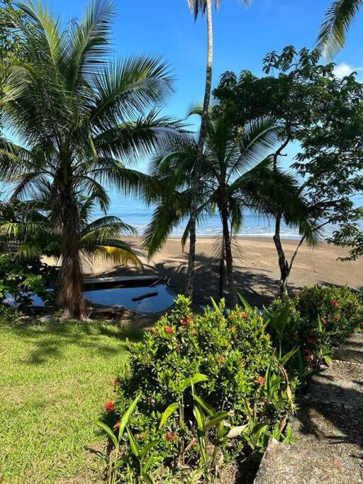 Drake Bay Cabina - ON THE BEACH - La Joyita photo 2