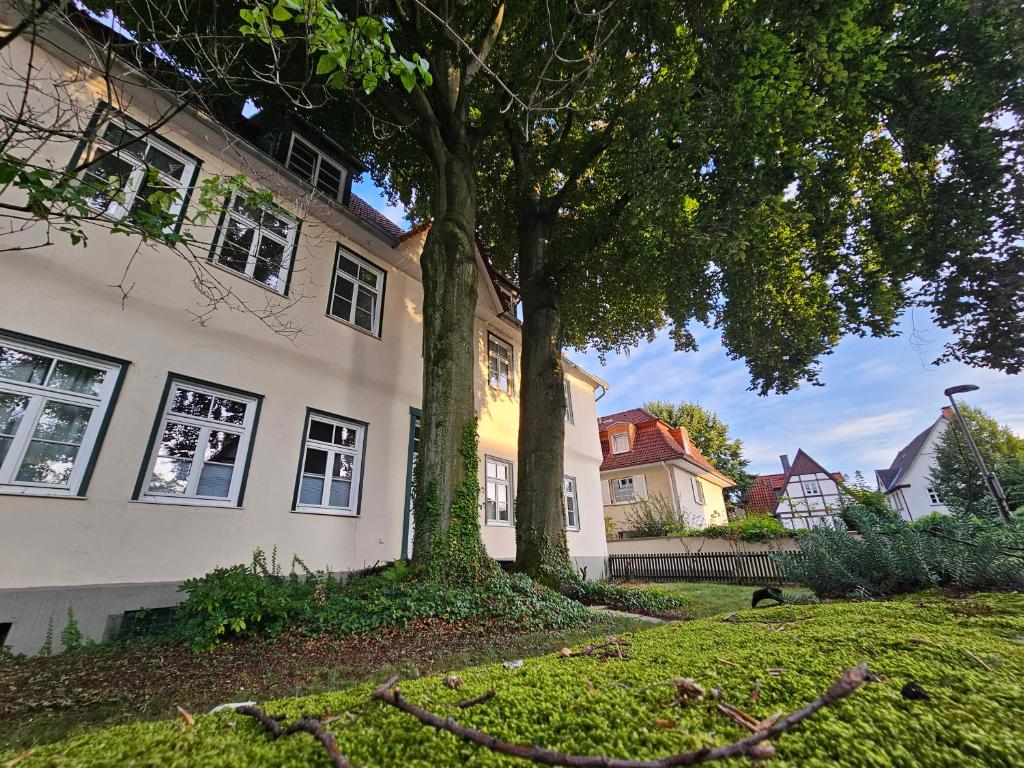 Patrizierhaus St Pauli am Brauhaus Zwiebel photo 2