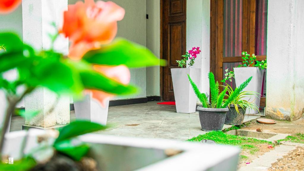 Bougainvillea Resort photo 2