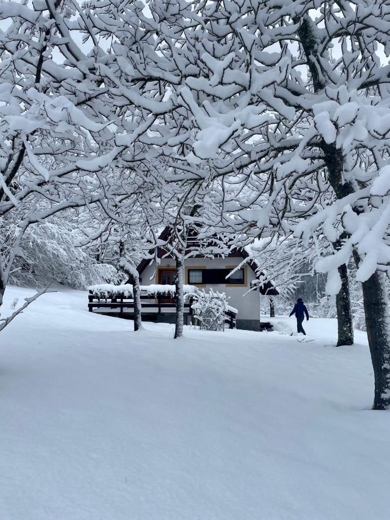 Holiday home Bozica photo 1