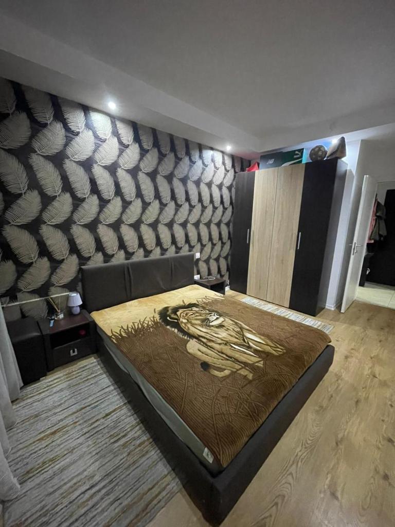 Homey 3 Cosmopolis photo 4