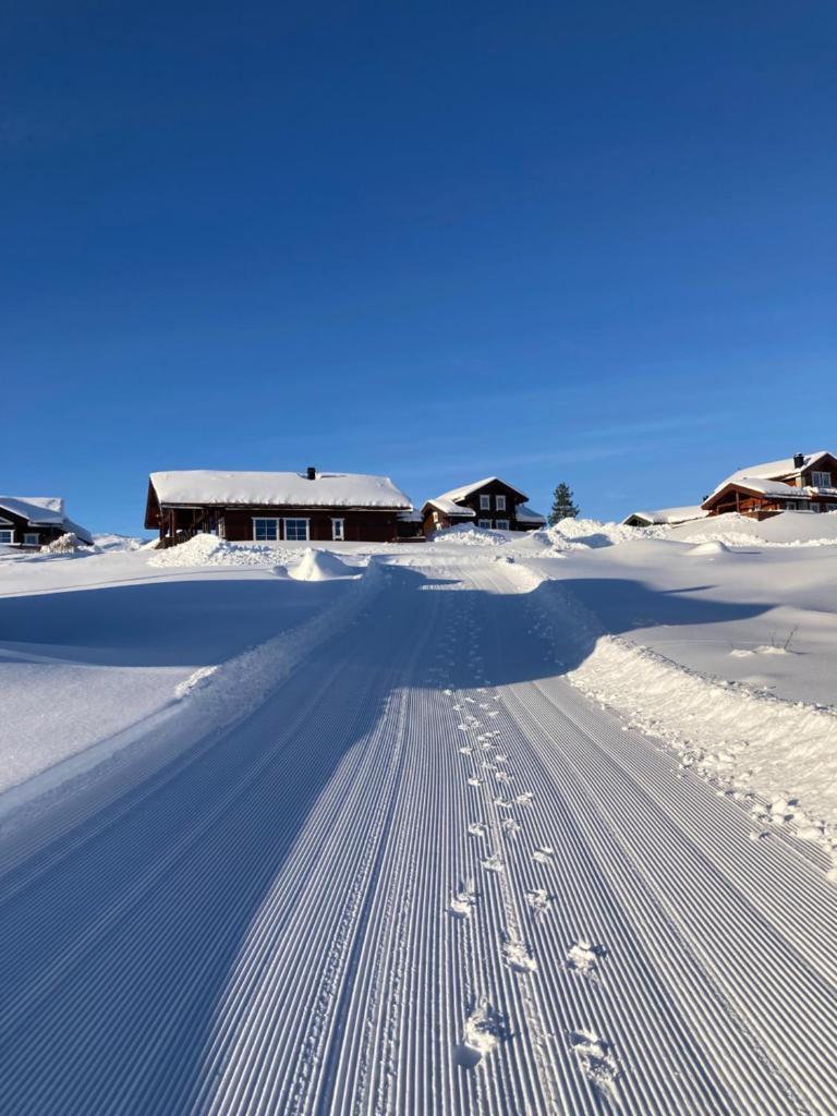 Vrådal Panorama photo 2