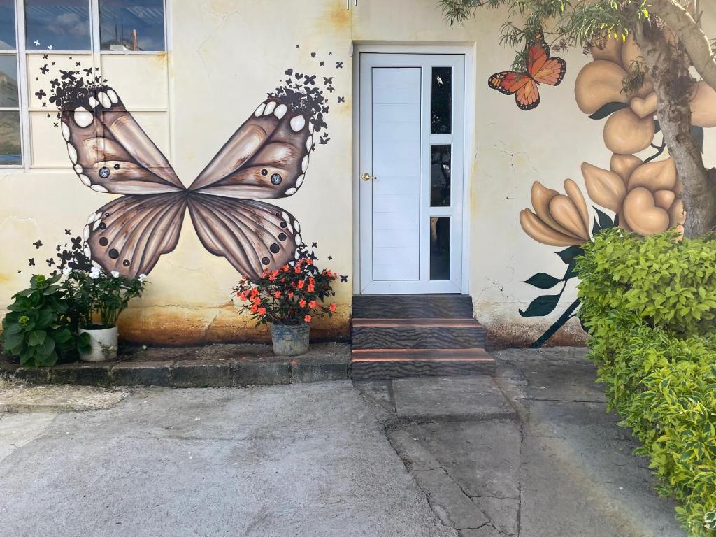 Casa Elenita photo 4