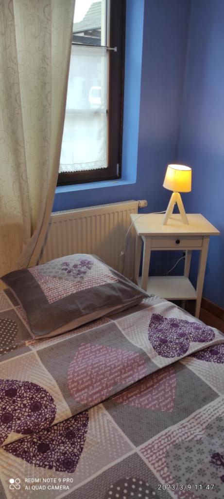 GITE A LA PETITE FONTAINE-PLAIN PIED-MAISON ALSACIENNE RENOVEE AVEC PASSION-4 PERS-3nuitées minimum photo 1