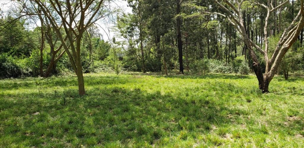 Boma Park Outdoor Event Space photo 2