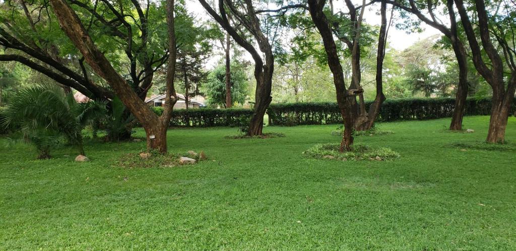 Boma Park Outdoor Event Space photo 4
