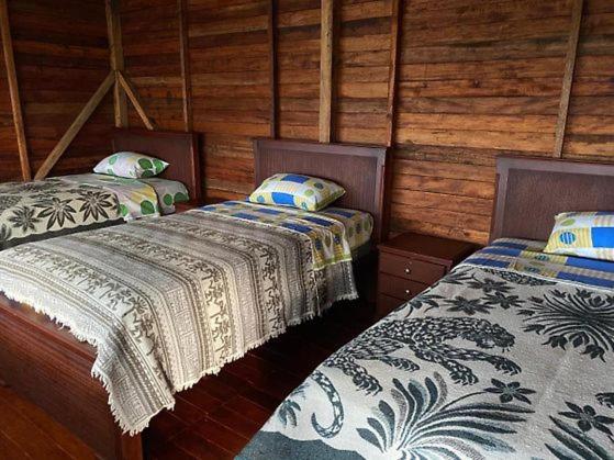 Tamandua Ecolodge & Reserve photo 2
