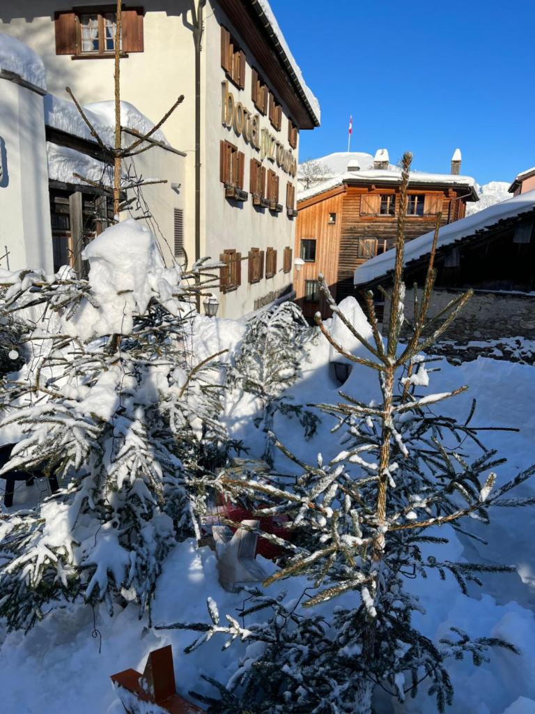 Hotel Piz Tambo