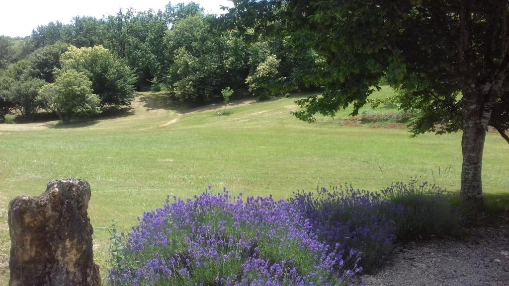 le hameau de la cipiere photo 1