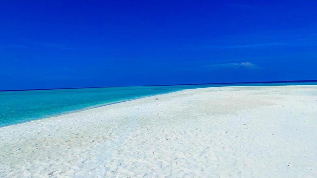 Asia Inn Maldives photo 3