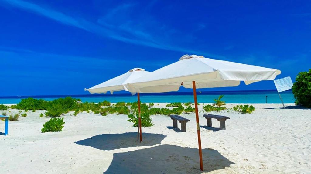 Asia Inn Maldives photo 1