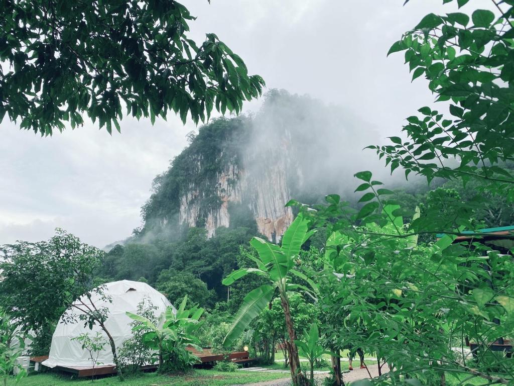 Cosy Garden Khao Sok photo 4