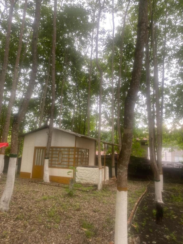Eco Hotel Guarumal photo 1