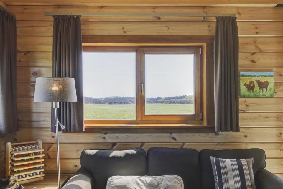 Ecolodge 1 photo 3