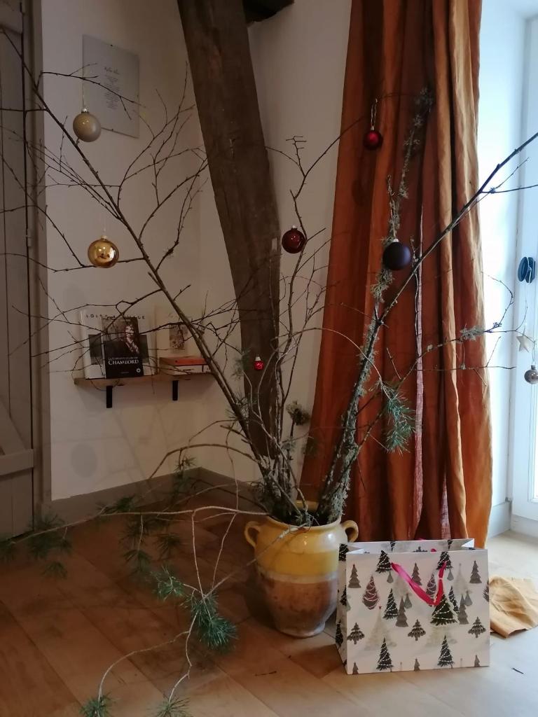 La Robinière Maison d'Hôtes photo 1