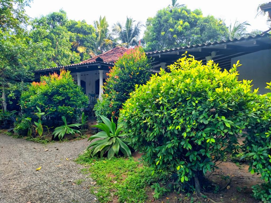 Dickwella Green Villa photo 2