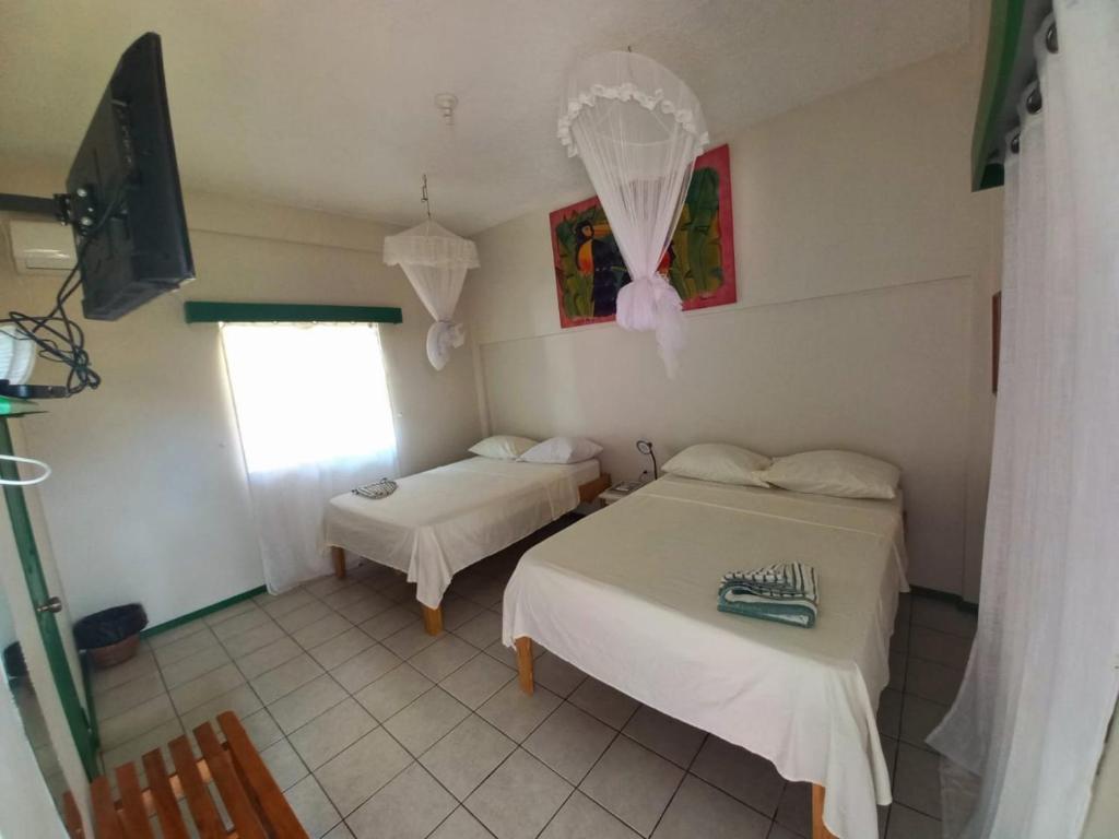 The Seaside Garden Guesthouse photo 1