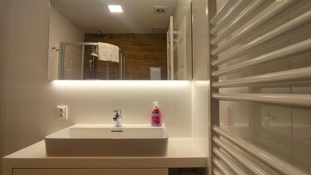 Apartmán Relax u Mumlavského vodopádu - v těsné blízkosti Hornického muzea v Harrachově (2+1 s garáží) photo 4