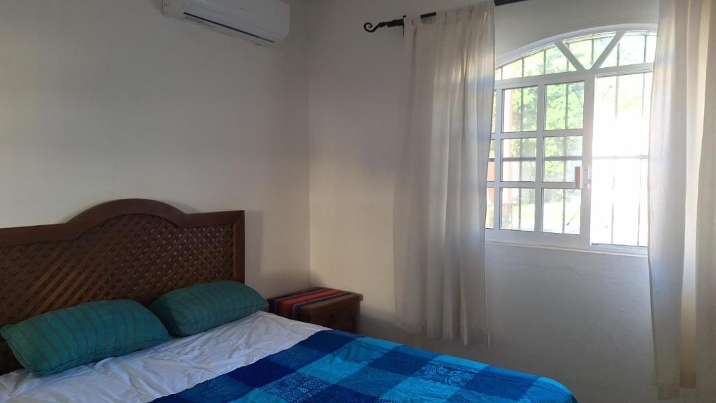 Bahia dive cozumel hostal photo 2