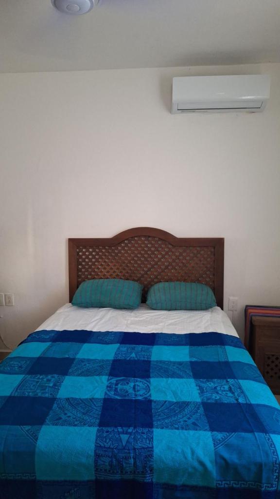Bahia dive cozumel hostal photo 3