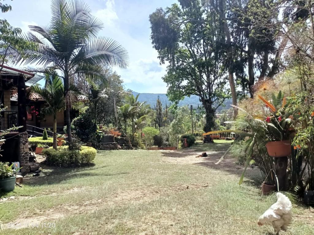 villa saturia photo 1