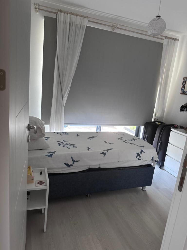 Q2 Çiçek sitesi photo 2