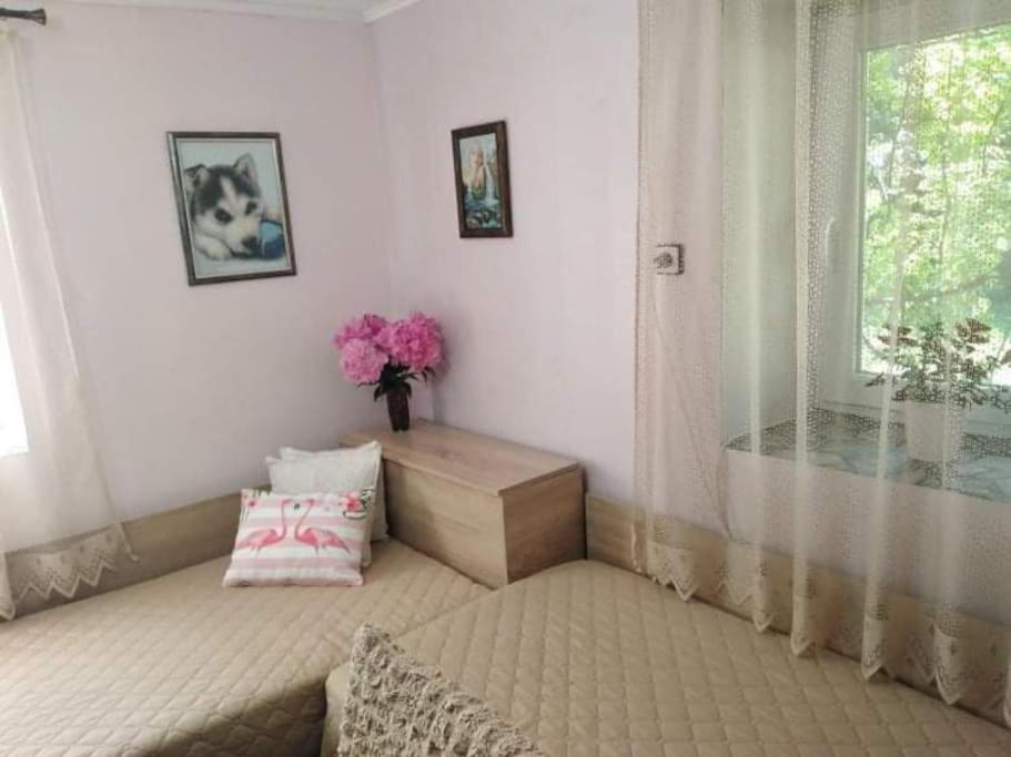 Lovely studio in Dragoman with garden and garage photo 2