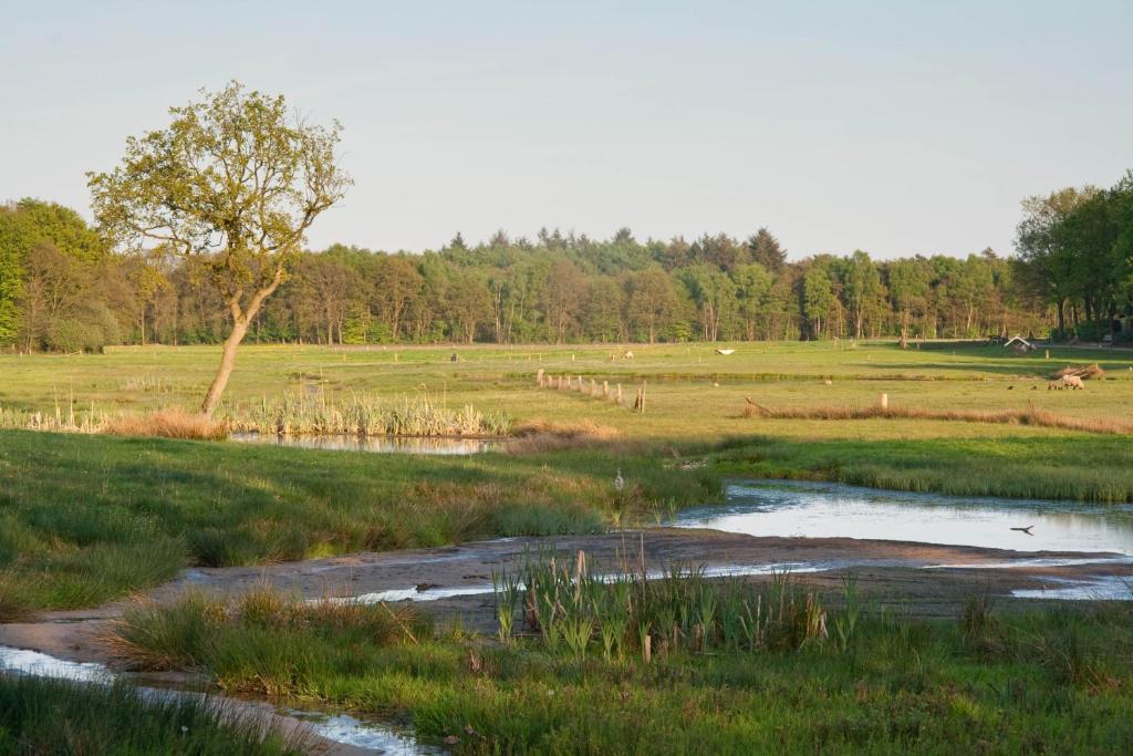Brunninkhuizerbeek photo 3