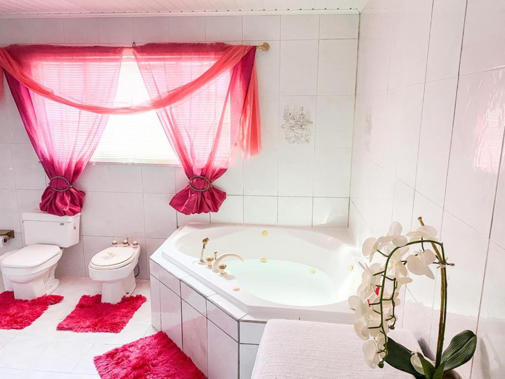 Tropical Retreat Stay Aruba photo 2