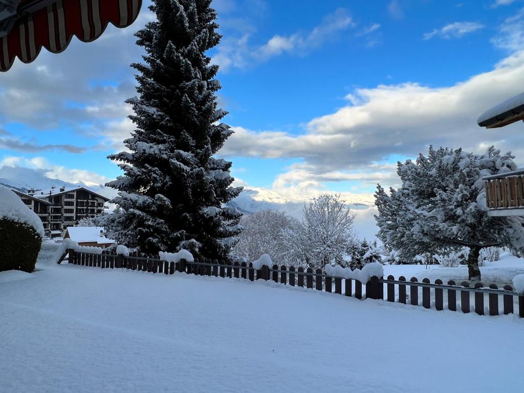 2,5 pièces à Haute-Nendaz, grande terrasse, piscine, sauna, tennis photo 3