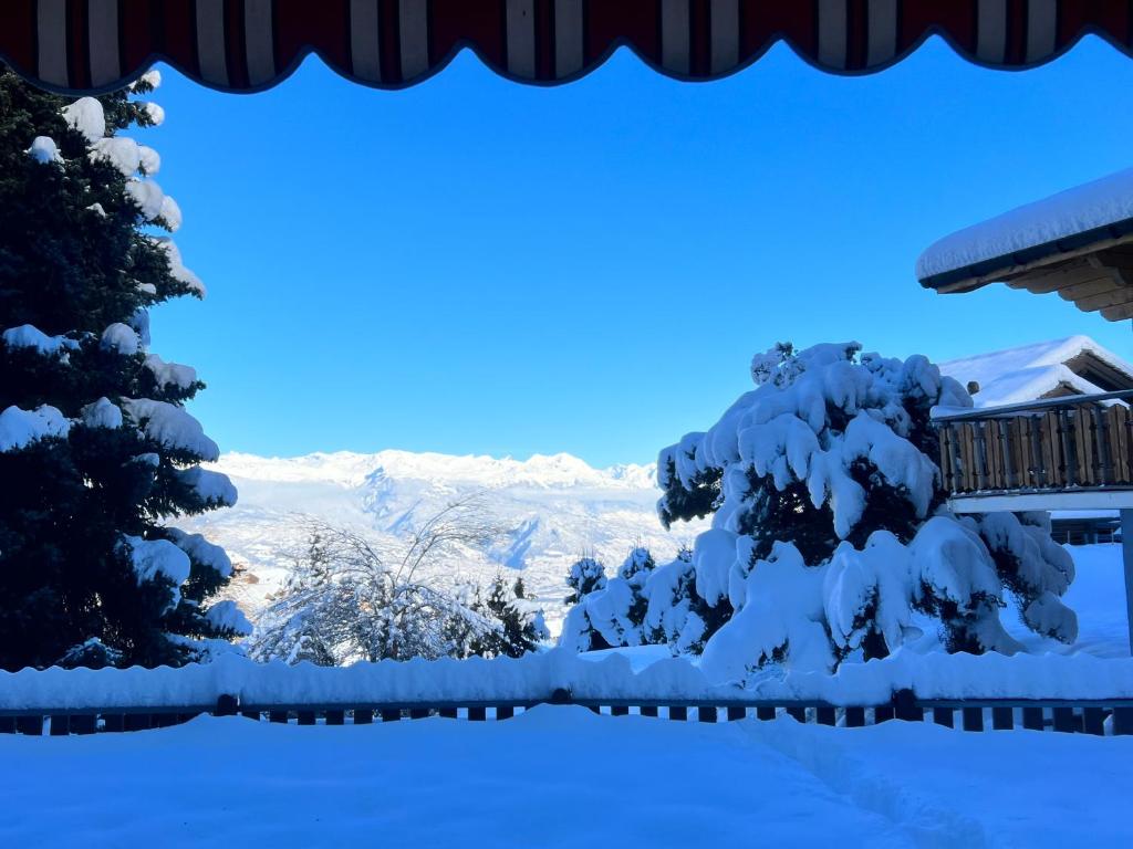 2,5 pièces à Haute-Nendaz, grande terrasse, piscine, sauna, tennis photo 1