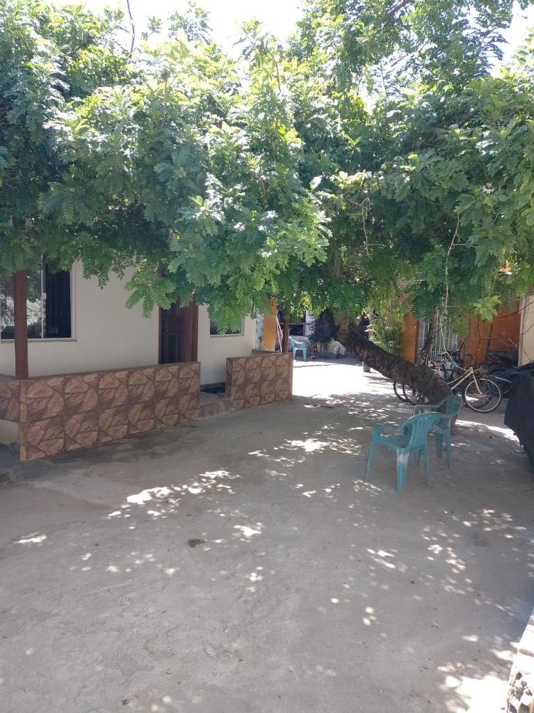 Casa Perto Praia do Forte photo 4