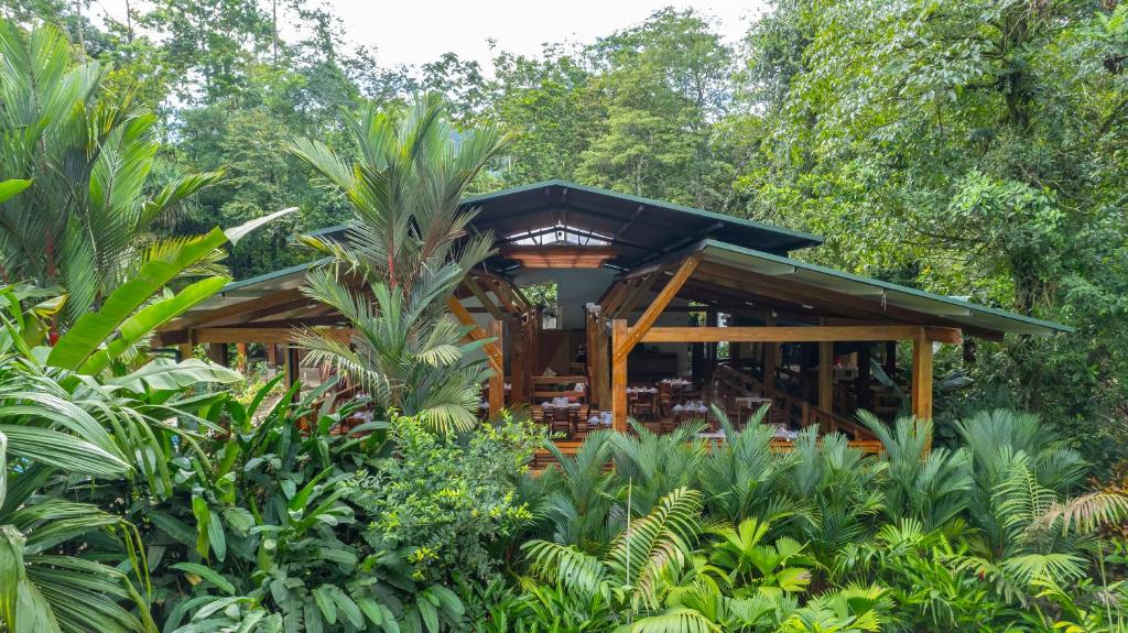 Chachagua Rainforest Hotel & Hot Springs photo 3