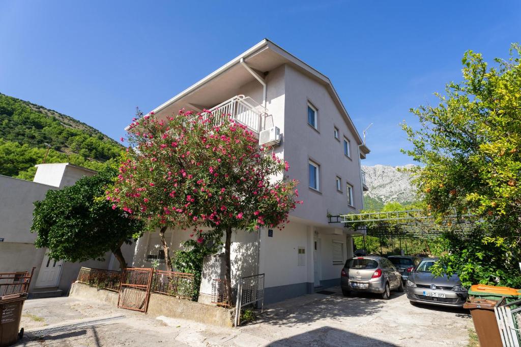 Apartmani Malbašić photo 1