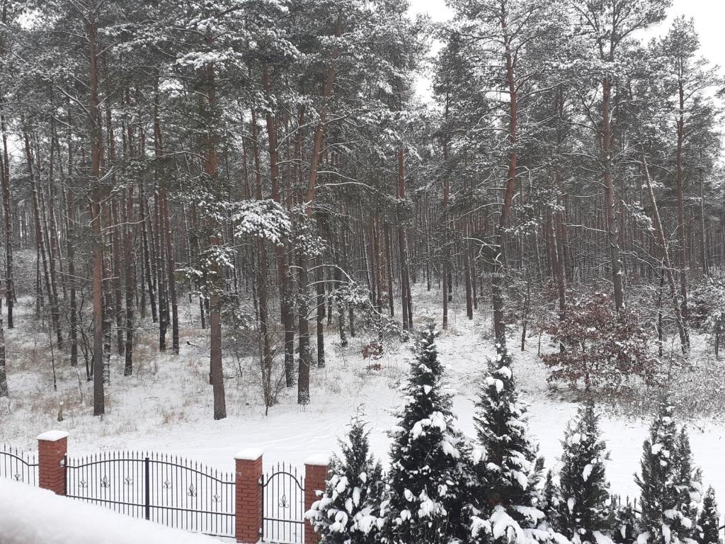 Noclegi Pod Dębem, Pulandia Brzózki photo 3