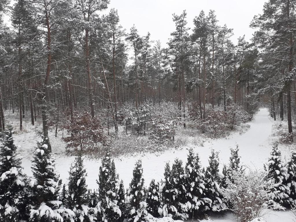 Noclegi Pod Dębem, Pulandia Brzózki photo 2