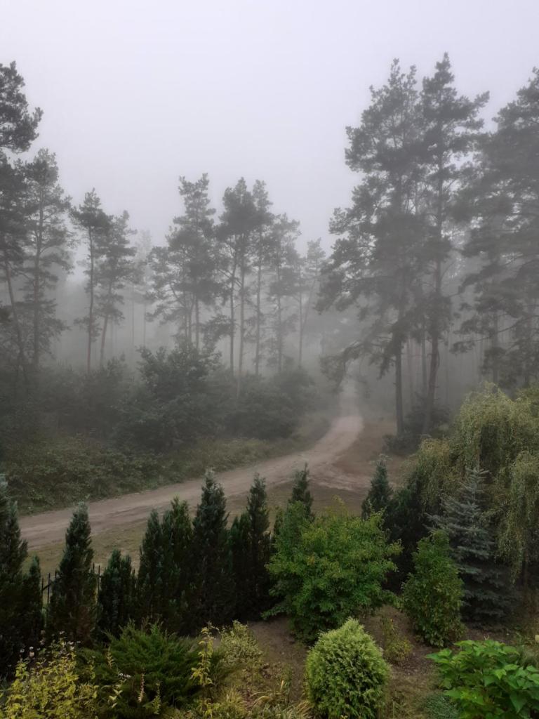 Noclegi Pod Dębem, Pulandia Brzózki photo 4