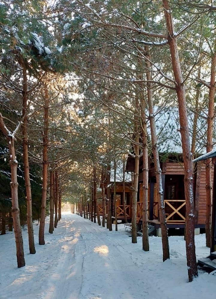 Family Resort photo 3