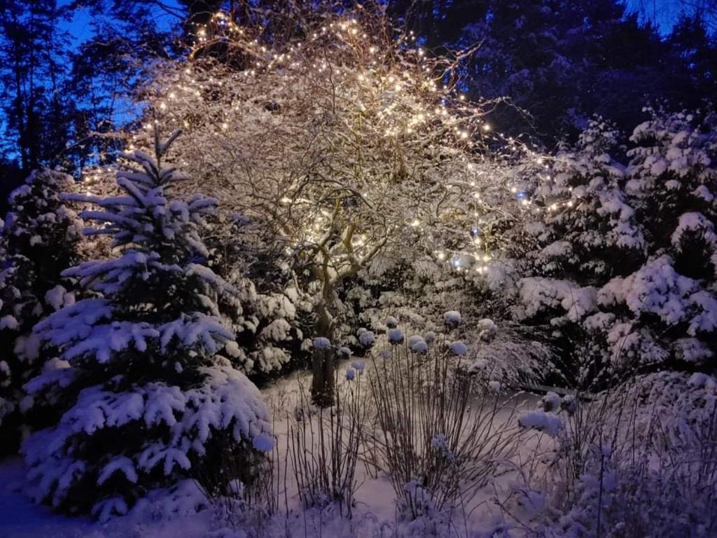 Noclegi Pod Dębem, Pulandia Brzózki photo 1