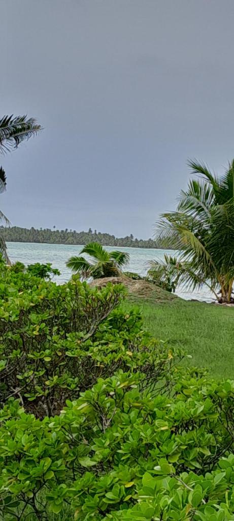 Penu Maurua 3 photo 1