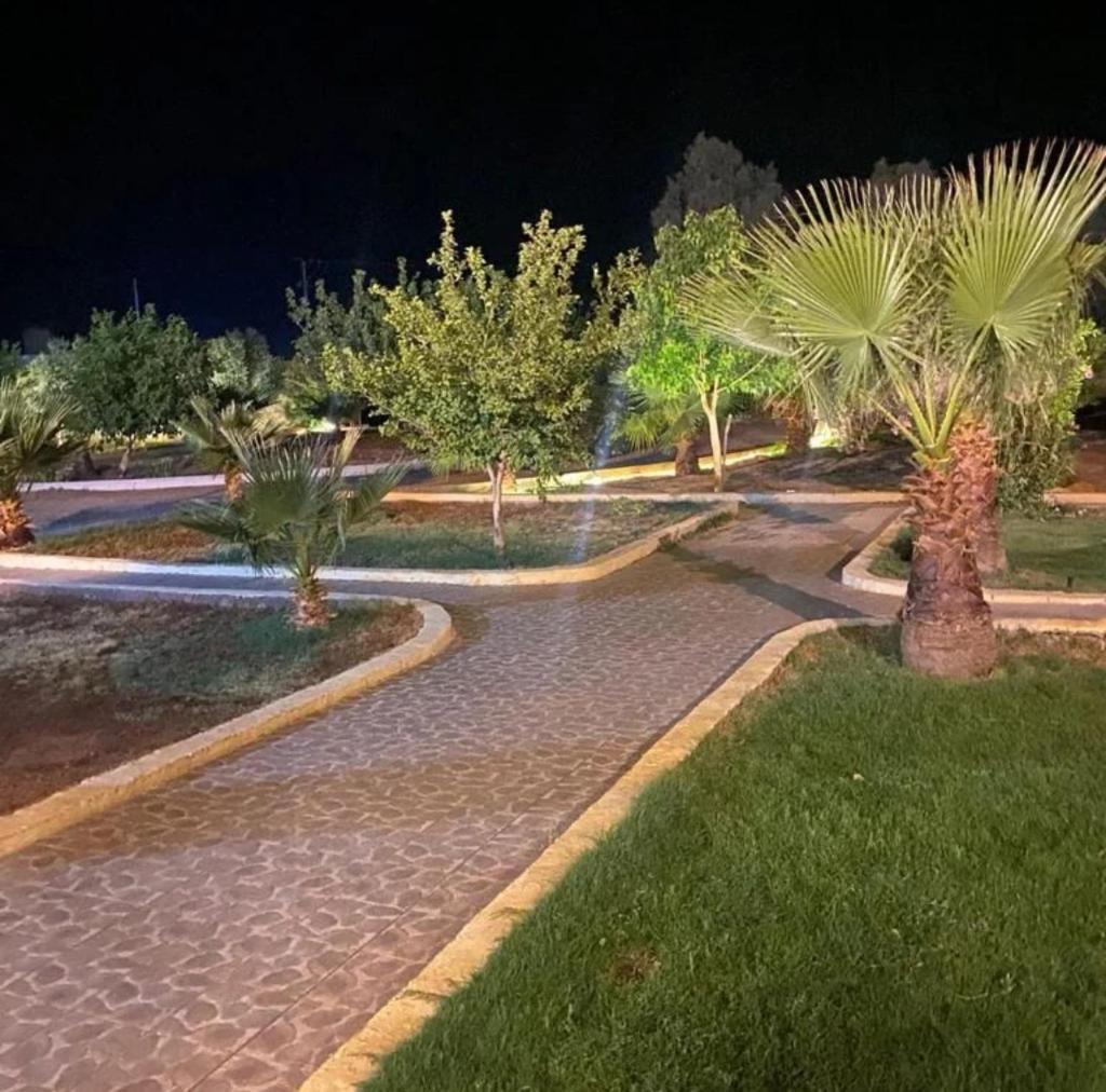 استراحه القاعد photo 2