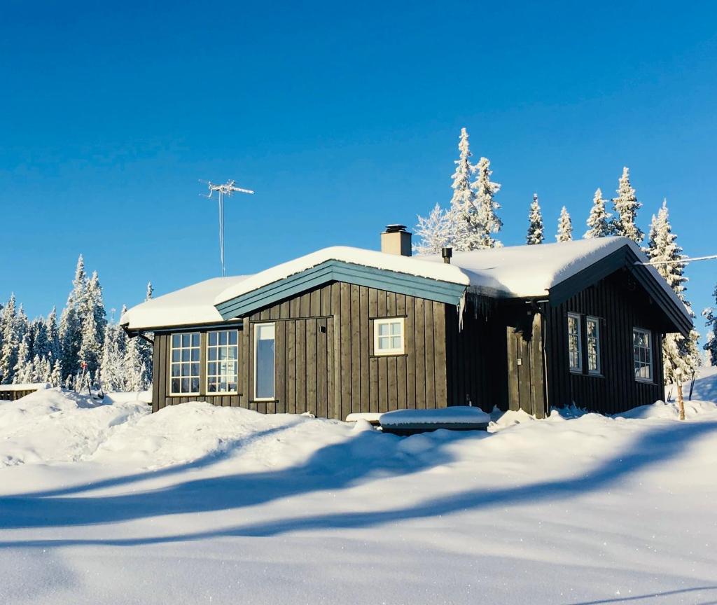 Beautifull cottage