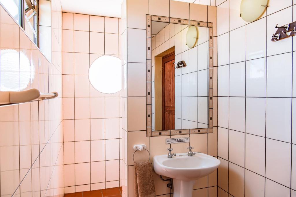 Chameleon Backpackers & Guesthouse photo 1
