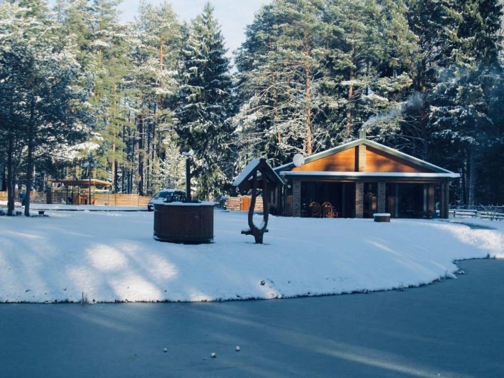 Vanago Lizdas photo 1