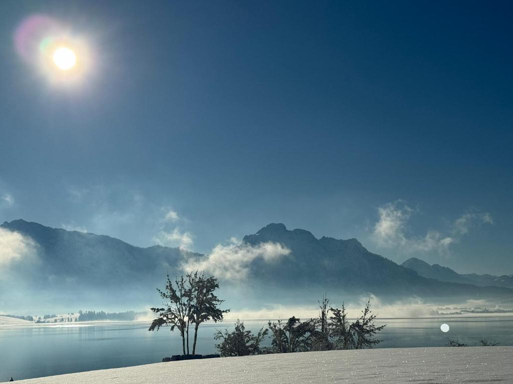 Villa Herzland Allgäu mit großem Garten und gemütlichem Kaminfeuer inklusive KÖNIGSCARD, Skipass, Bergbahn, Therme inkl photo 4
