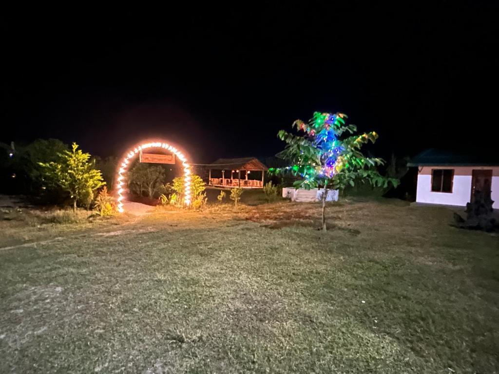 Tiger Wildlife Resort photo 2