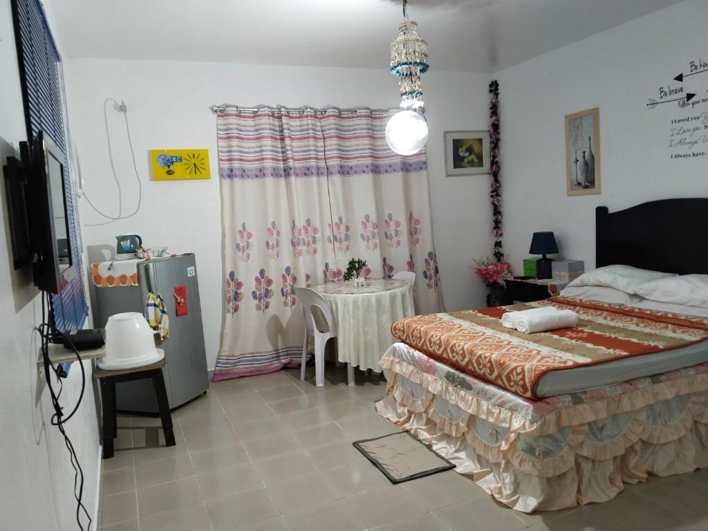 Michelle's apartment Alcoy photo 1