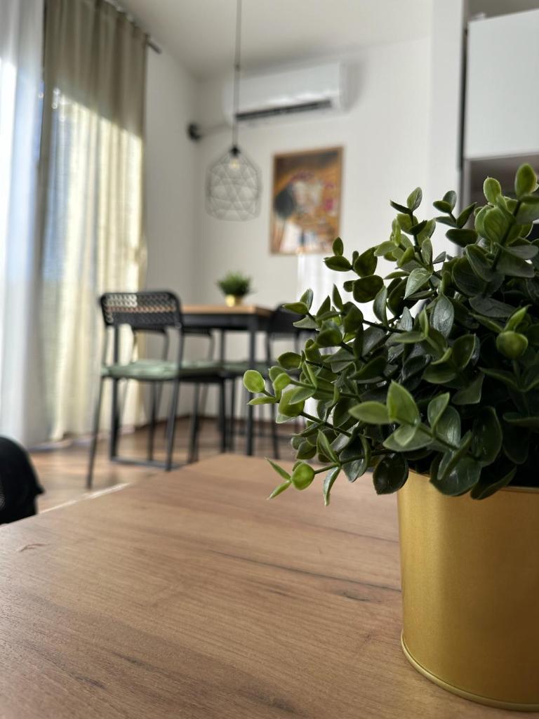 Apartman PLAY Divčibare photo 4