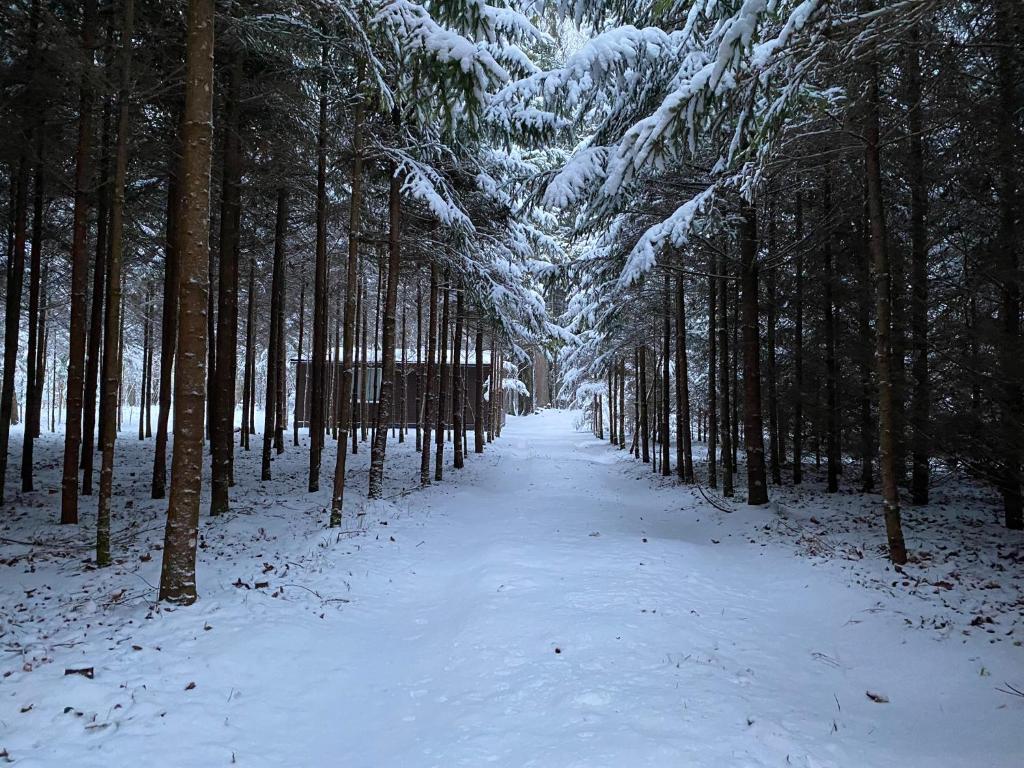 Miško sielos namelis su pirtele photo 2