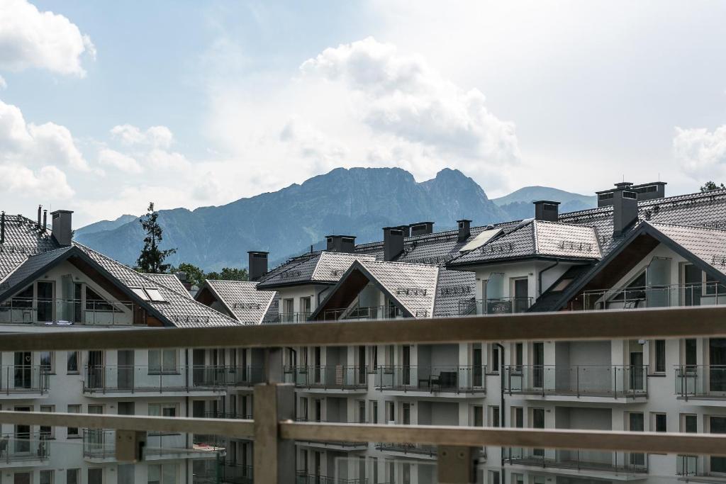 Апартаменты (Роскошные апартаменты с 2 спальнями), VIP Apartamenty Stara Polana